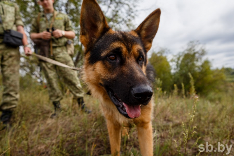 Застава «Лоев» имени Николая Сушанова Гомельской пограничной группы