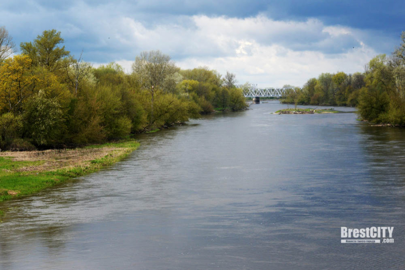 Экскурсия остров Пограничный Тереспольское укерпление Брестской крепости