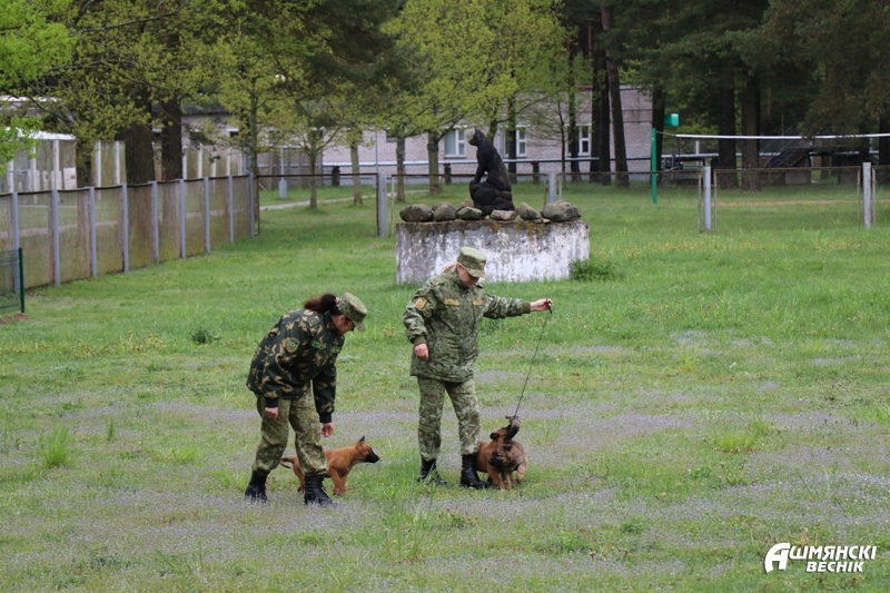 Как служат четырехлапые пограничники