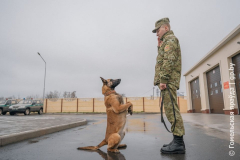 Пограничники заставы "Хойники" несут службу в экстремальных условиях Полесского заповедника