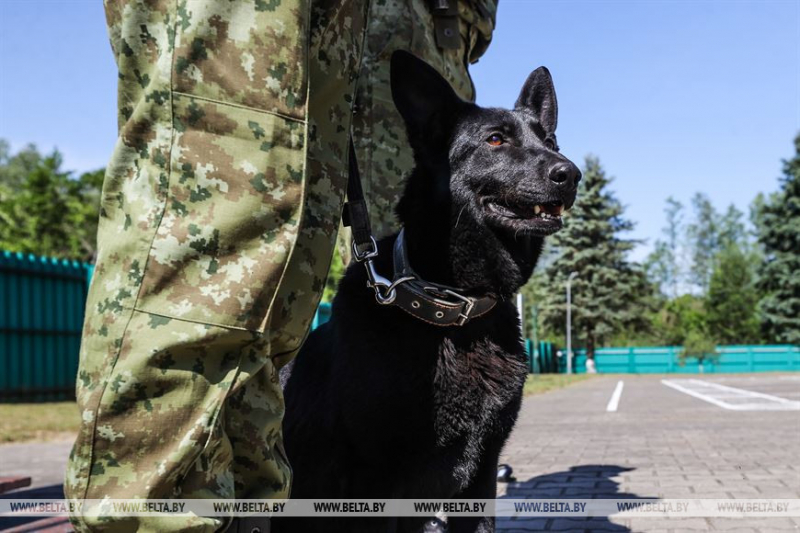 Застава "Домачево" имени Новикова. Брестская Краснознаменная пограничная группа имени Ф.Э. Дзержинского