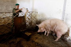 2013 год... 11-я пограничная застава «Брест» имени Героя Советского Союза лейтенанта Андрея Митрофановича Кижеватова