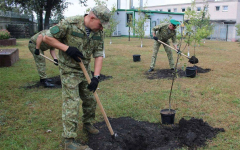 В рамках акции, которая проходит с 10 по 17 сентября, командование Брестской пограничной группы высадило яблони