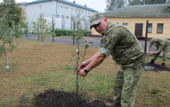 В рамках акции, которая проходит с 10 по 17 сентября, командование Брестской пограничной группы высадило яблони