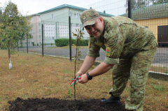 В рамках акции, которая проходит с 10 по 17 сентября, командование Брестской пограничной группы высадило яблони