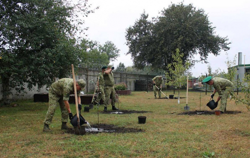 В рамках акции, которая проходит с 10 по 17 сентября, командование Брестской пограничной группы высадило яблони