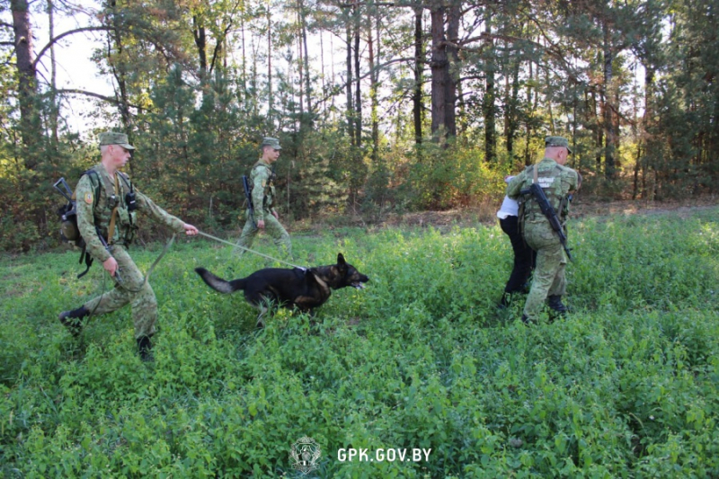 В Бресте определили лучшую "тревожную группу" органов пограничной службы