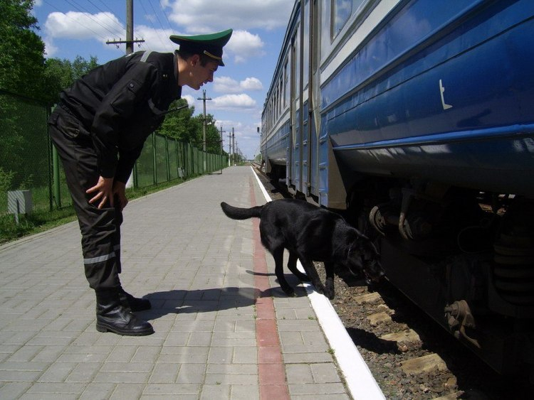 Отделение пограничного контроля «Хотислав» Брестской пограничной группы