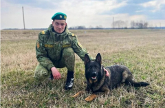 Инженер-программист, ставший кинологом: история Владислава Поболовца
