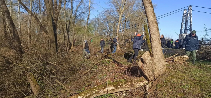 В Бресте прошел общереспубликанский субботник