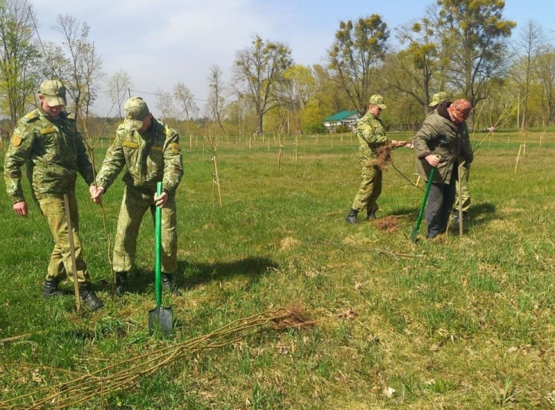 Военнослужащие пограничной комендатуры «Речица» приняли активное участие в акции по озеленению в парке «Нижне-Теребежовский».