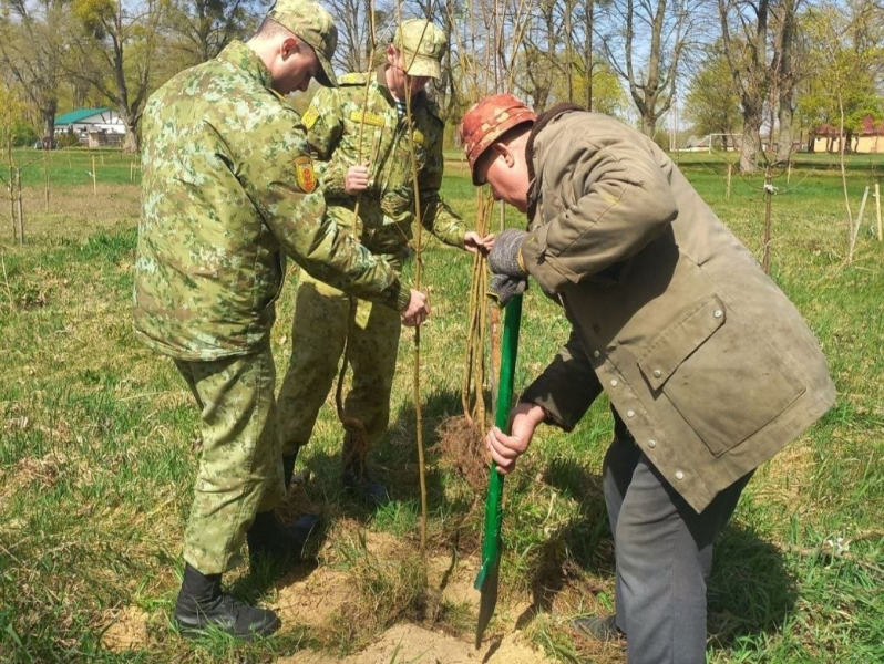 Военнослужащие пограничной комендатуры «Речица» приняли активное участие в акции по озеленению в парке «Нижне-Теребежовский».