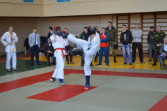 Чемпионат органов пограничной службы по рукопашному бою