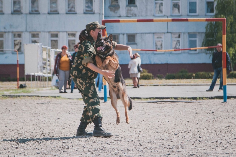Кинологическая служба...Брестская Краснознаменная пограничная группа имени Ф.Э. Дзержинского