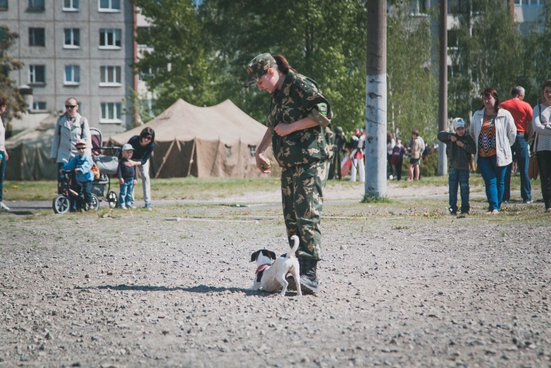 Кинологическая служба...Брестская Краснознаменная пограничная группа имени Ф.Э. Дзержинского