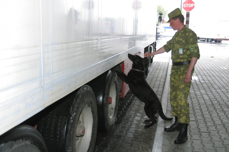 разные фото