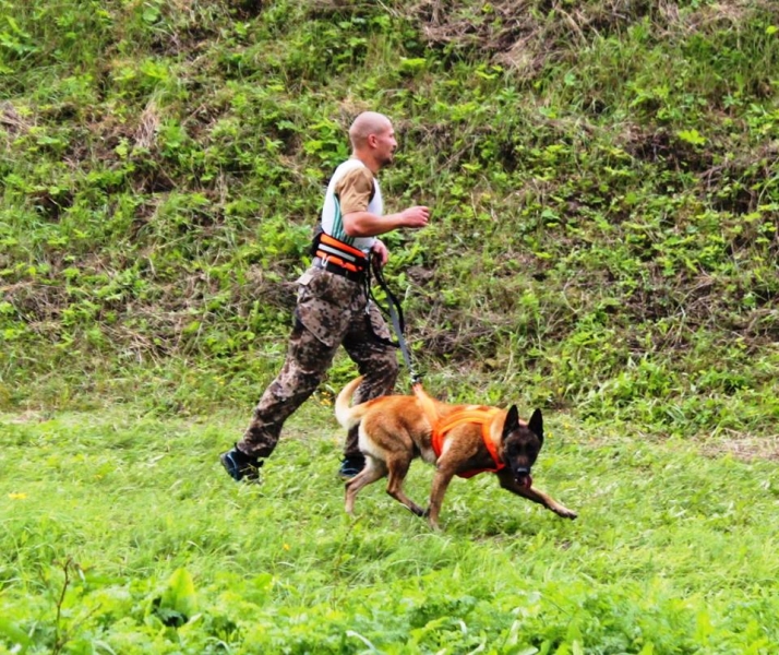 Соревнования кинологов...Латвия 2016