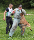 Соревнования кинологов...Латвия 2016