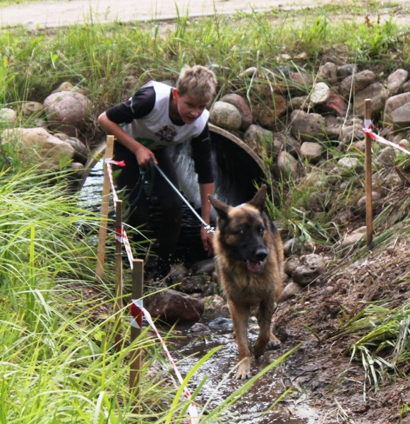 Соревнования кинологов...Латвия 2016