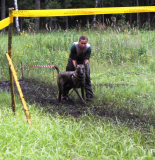 Соревнования кинологов...Латвия 2016