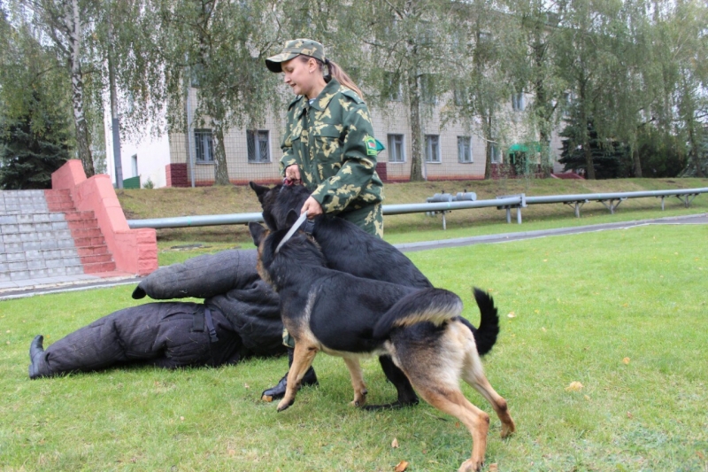 День открытых дверей Брестская пограничная группа..выступление кинологов