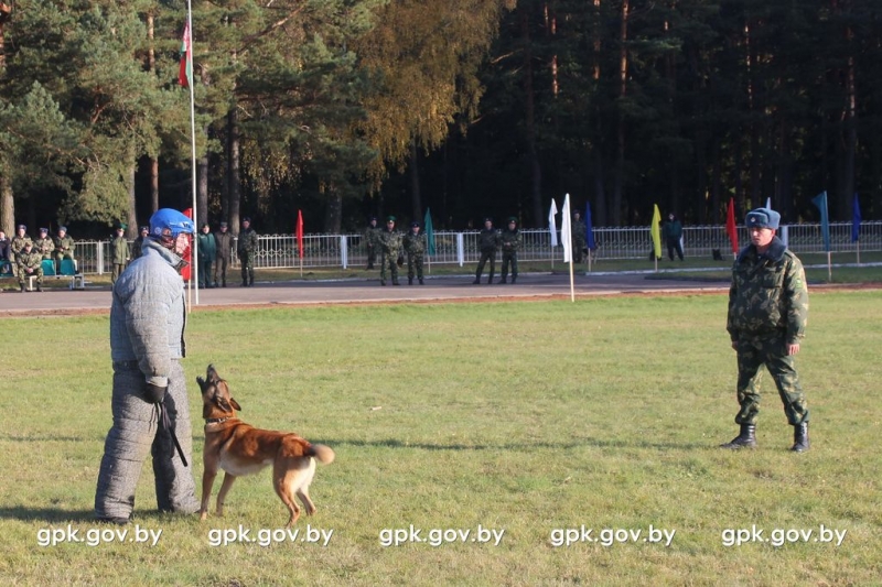 В Сморгони завершились соревнования специалистов-кинологов...