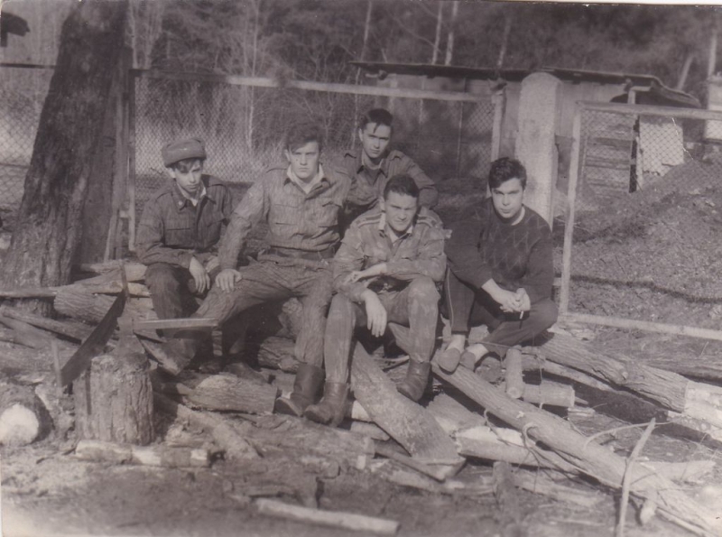 заготовка дров