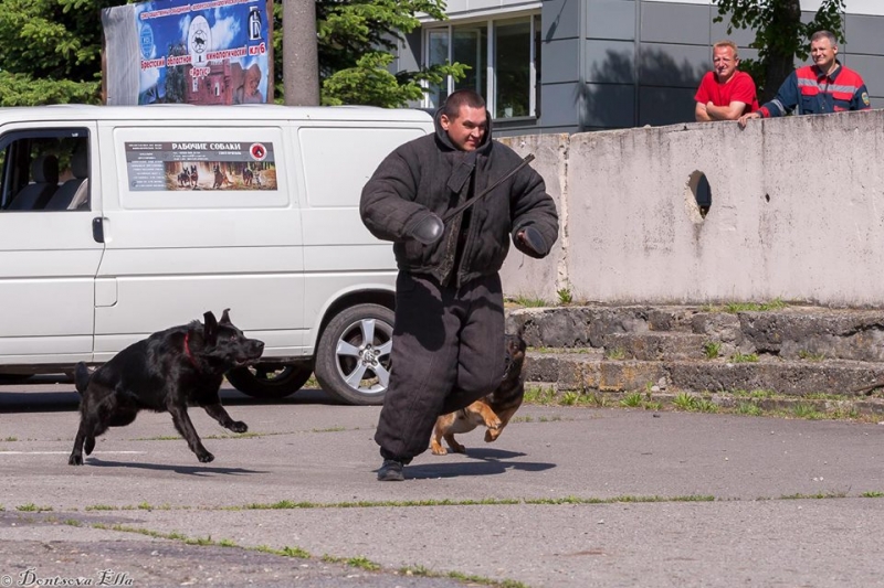 выступления 28 мая 2017 Брест