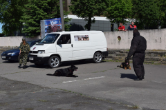 выступления 28 мая 2017 Брест