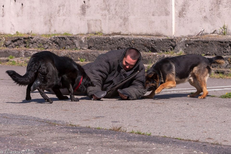 выступления 28 мая 2017 Брест