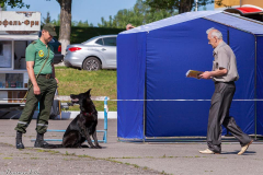 выступления 28 мая 2017 Брест