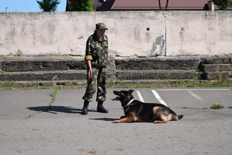 выступления 28 мая 2017 Брест