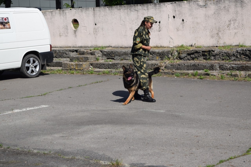 выступления 28 мая 2017 Брест