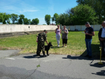 выступления 28 мая 2017 Брест