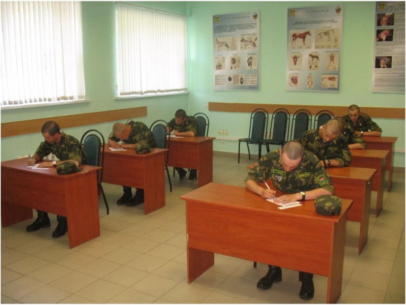 Пополнение в рядах кинологов...