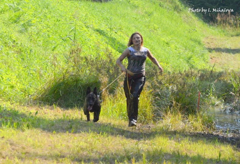 XII-й кинологический биатлон "Латвия - 2017"