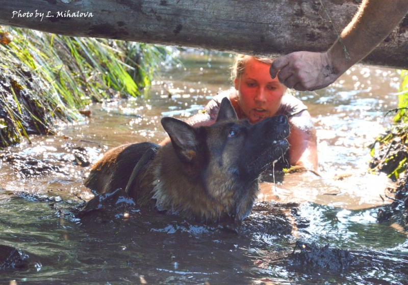 XII-й кинологический биатлон "Латвия - 2017"