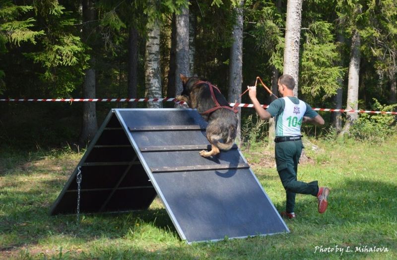 XII-й кинологический биатлон "Латвия - 2017"