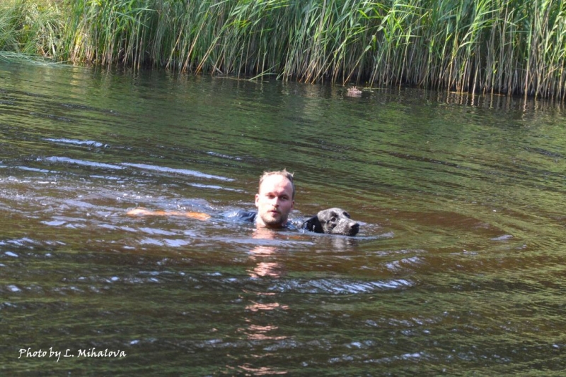 XII-й кинологический биатлон "Латвия - 2017"