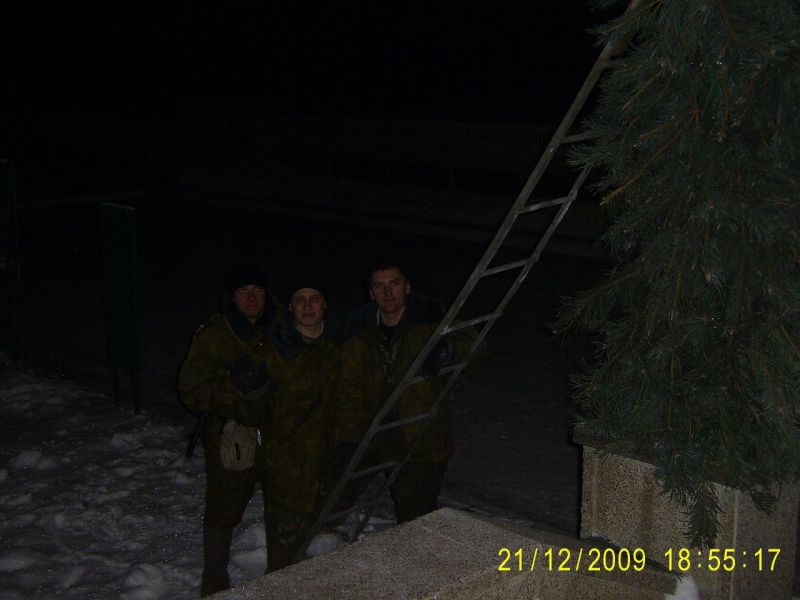 моя застава