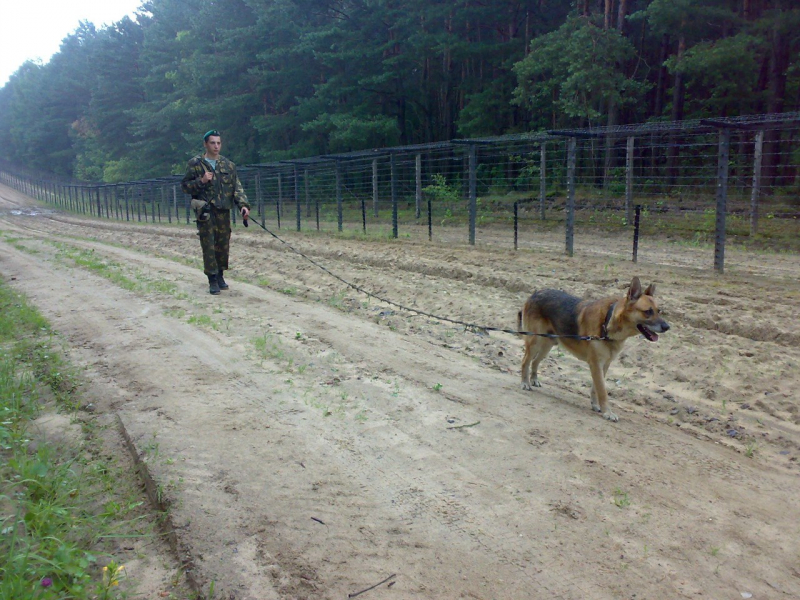 9 Теребунь погз