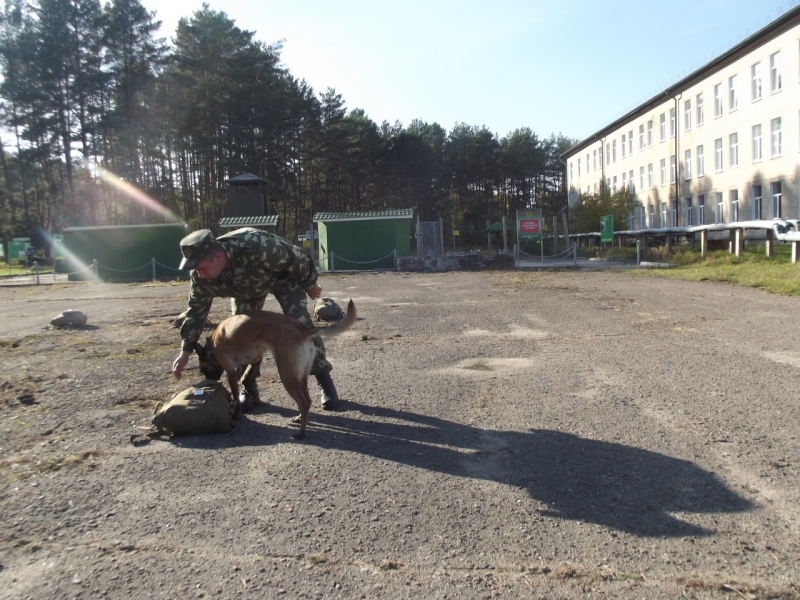 Соревнования инструкторов октябрь 2018