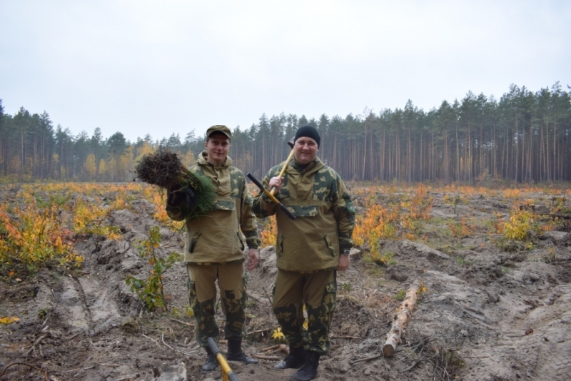 Военнослужащие Гомельской пограничной группы приняли участие в республиканской акции «Чистый лес».
